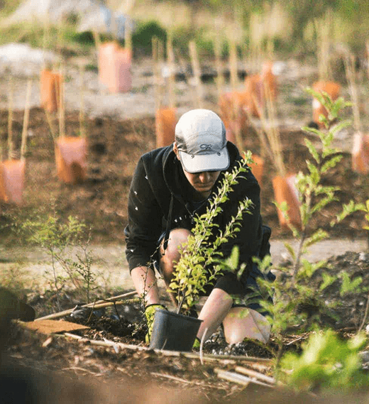 Help Us Back New Zealand's Big Backyard