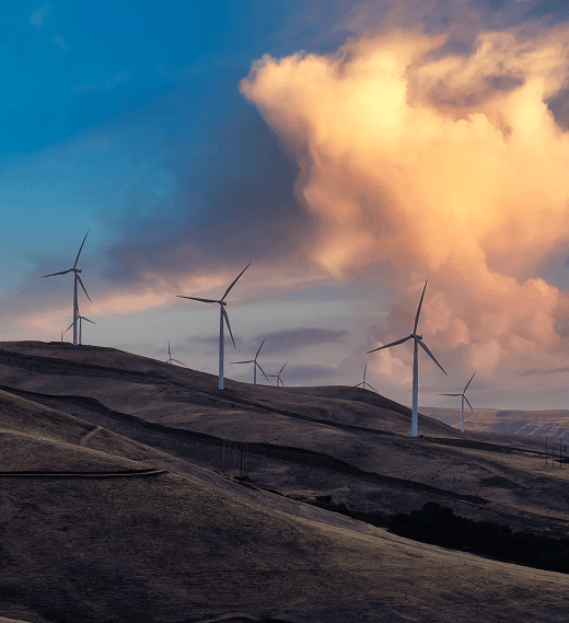 Windmills Image
