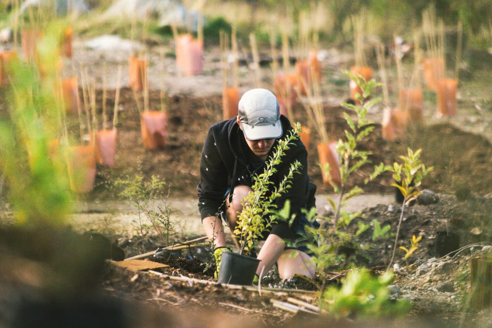 Help us back new Zealand's big backyard