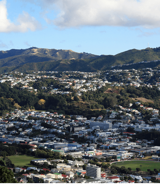 Wellington landscape photo