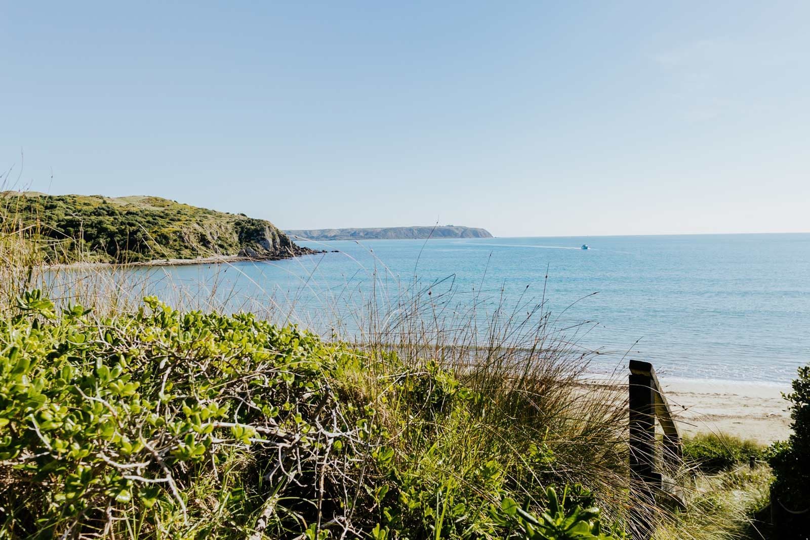 Living and selling Tawa through to Pukerua Bay