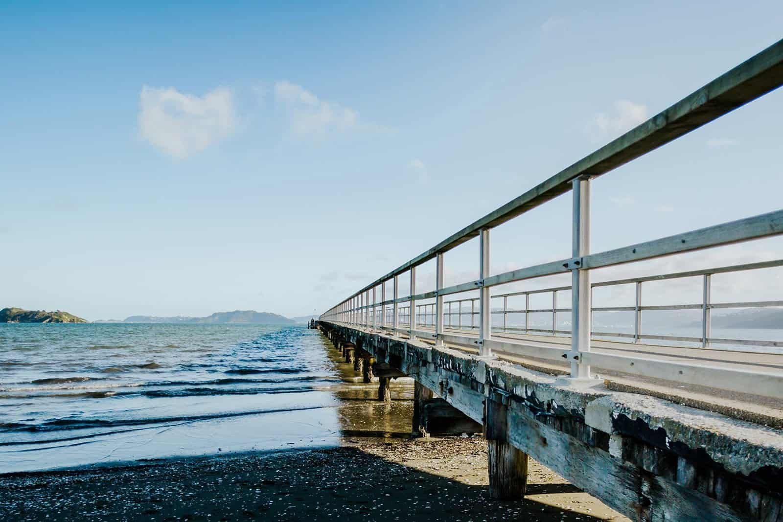 Explore Wellington’s Second Largest City